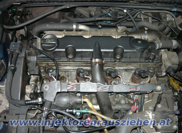 Injektoren rausnehmen aus Peugeot / Citroen 2.0
                HDi 8V