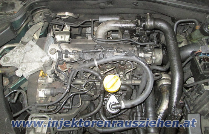 Injektoren ausziehen aus Renault / Nissan mit
                1.9 Motoren